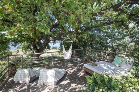  outdoor