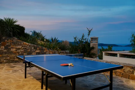  ping pong table
