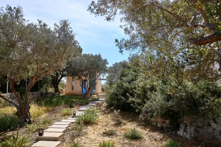 path to the cottage