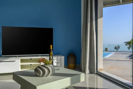  living room with tv