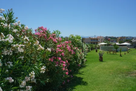  garden 