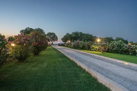  the garden lights