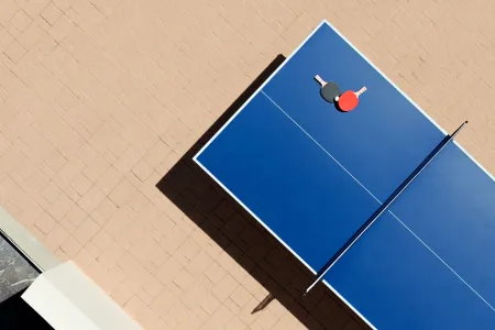  ping pong