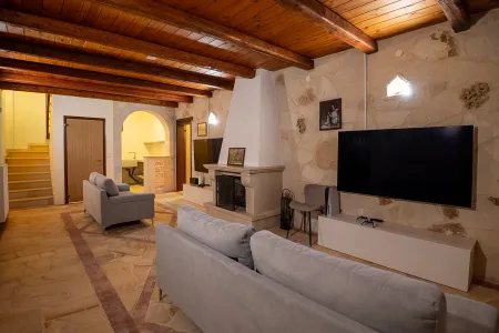  Fireplace With Sofa & TV