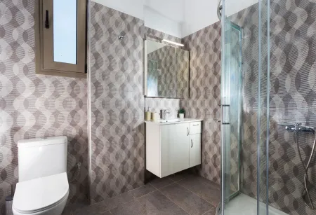  Moden bathroom with toilet and walk-in shower