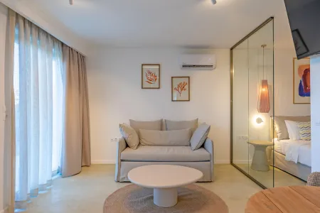  Living room and sofabed