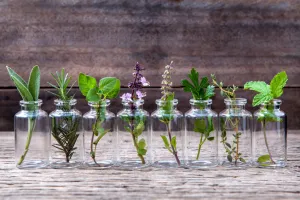 Cretan Herbs The scent is the wealth