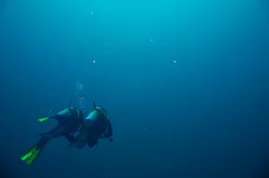 Scuba Diving (Time to Get Yourself Wet)