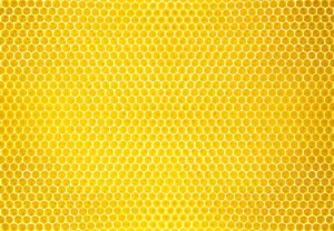 Crete of Honey- honey of Crete