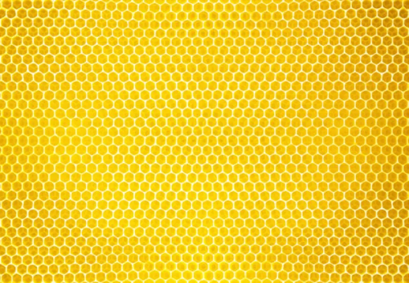 Crete of Honey- honey of Crete